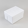 Isolierbox mit Deckel  45,0 l, "245"