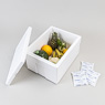 Isolierbox mit Deckel  45,0 l, "245"