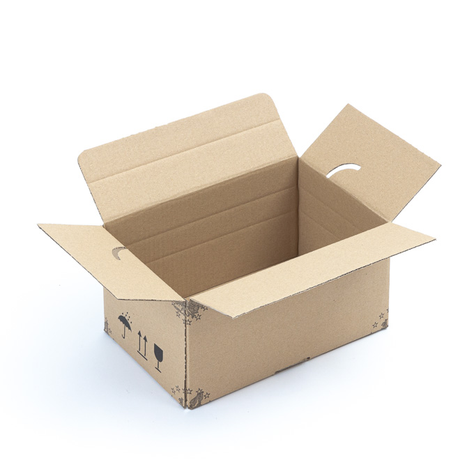 BOX 284x184x137mm F0701 1.20B ESL31