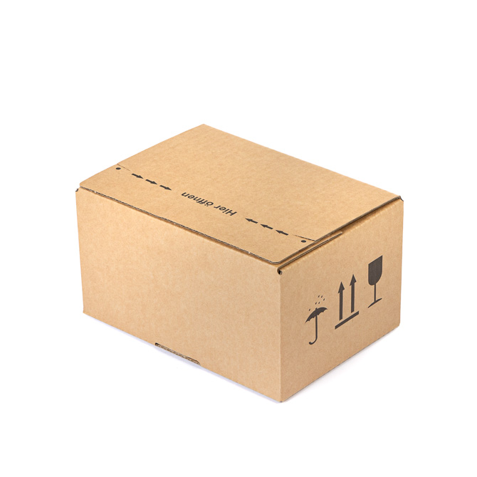 BOX 213x153x109mm F0703 1.21B SK10