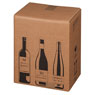 Flaschenverpackung 305x212x368mm 6er