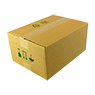 BOX 300x220x140mm F0201 2.31EB -3997-