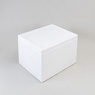 Isolierbox mit Deckel 101,5 l, "301" Fol