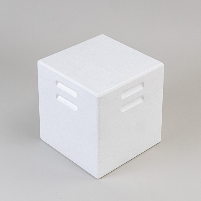 Trockeneisablage für Box "210"