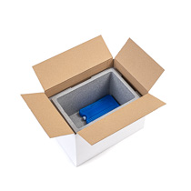 Isolierbox m. Deckel 7,3 l, "211"NEO+KTN