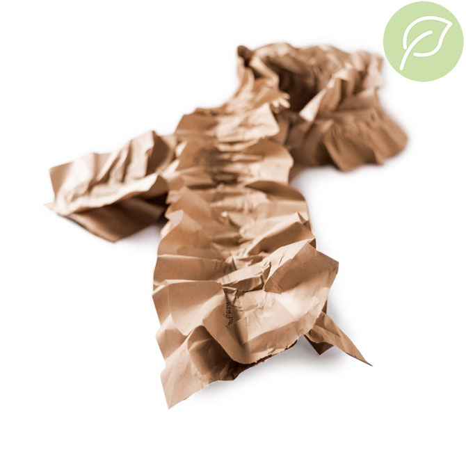 PAPERplus<em class="search-results-highlight">®</em> Dragonfly - Hohlräume füllen mittlerer und großer Pakete PAPERplus<em class="search-results-highlight">®</em> Dragonfly - Hohlräume füllen mittlerer und großer Pakete
